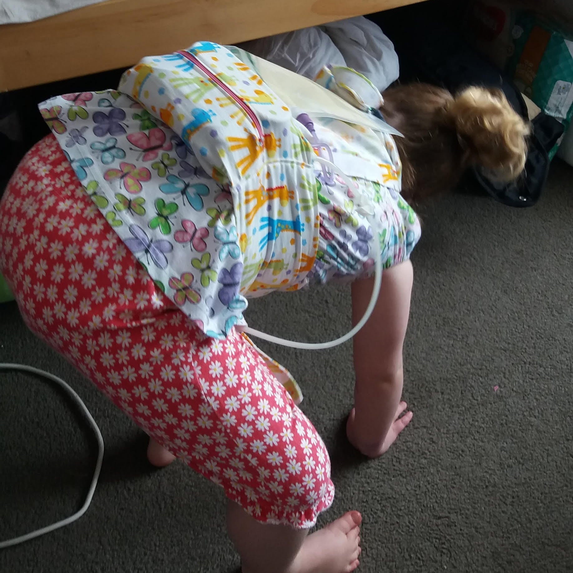 300ml Tube Feeding Pouches Kai Carrier x 3